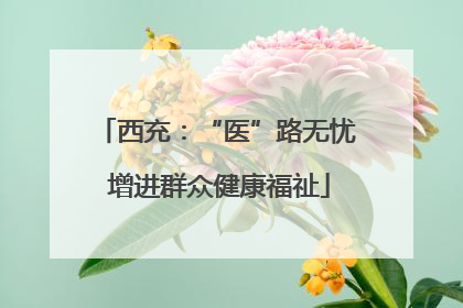 西充：“医”路无忧 增进群众健康福祉